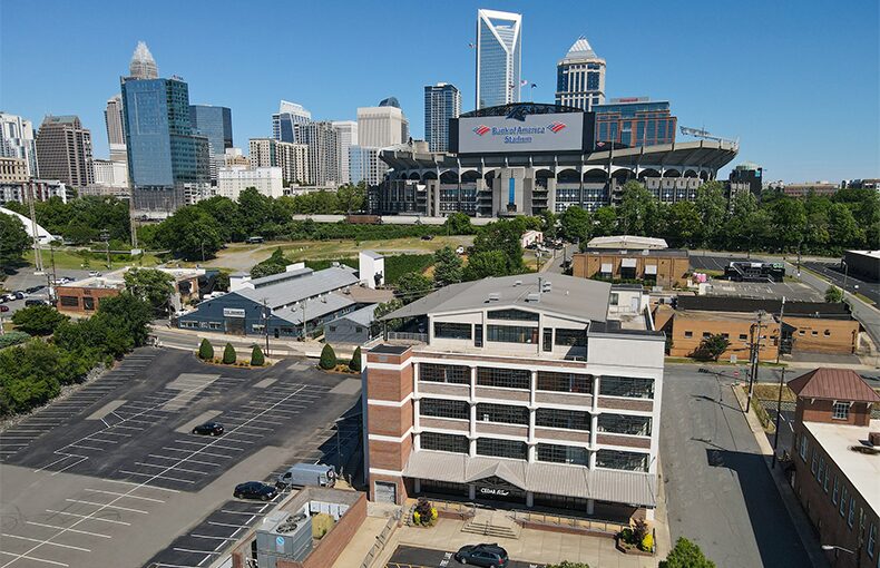 Cedar Skyline